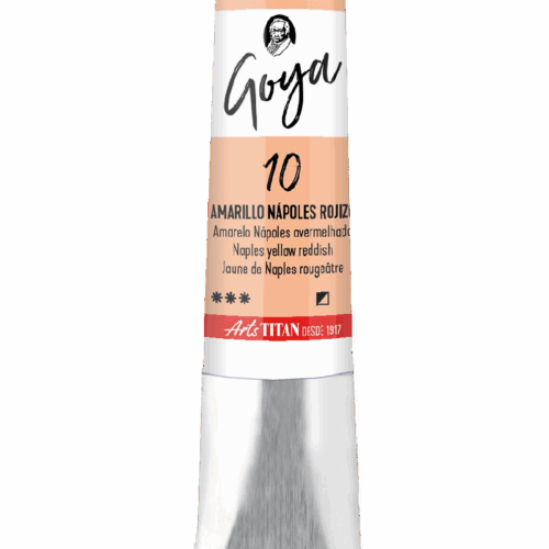 GOYA AMAR.NAPOL.ROJIZO  Nº10  T.10