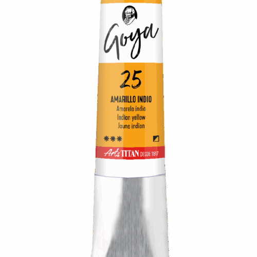 GOYA AMARILLO INDIO  Nº25   T.10