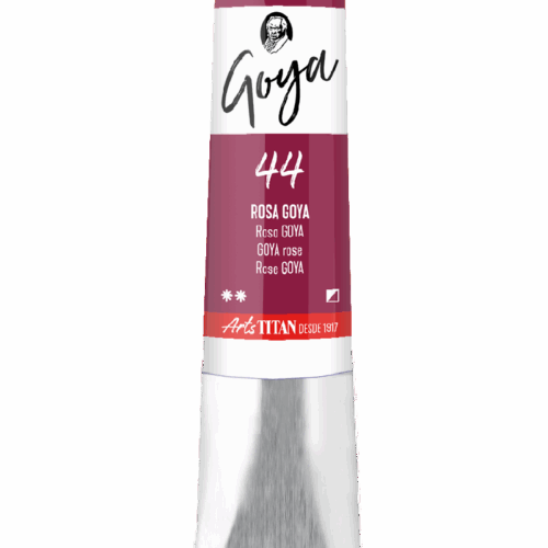 GOYA ROSA GOYA   Nº44   T.6