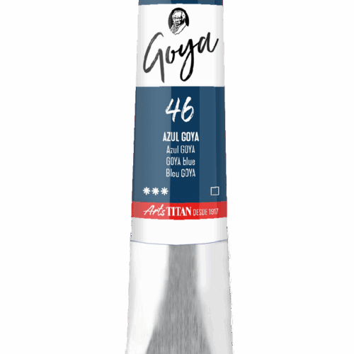 GOYA AZUL GOYA    Nº46   T.6