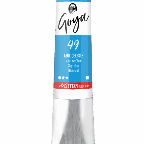 GOYA AZUL CELESTE  Nº49   T.6