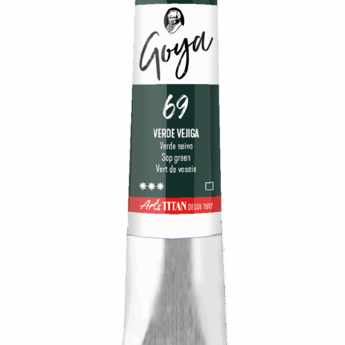 GOYA VERDE VEJIGA   Nº69    T.10