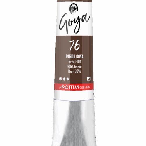 GOYA PARDO GOYA   Nº76  T.10