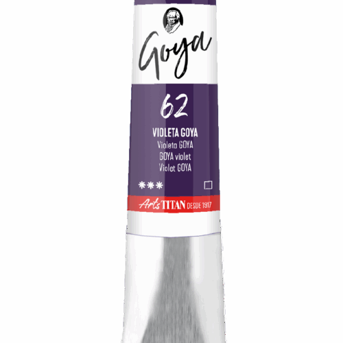 GOYA VIOLETA GOYA  Nº62   T.6