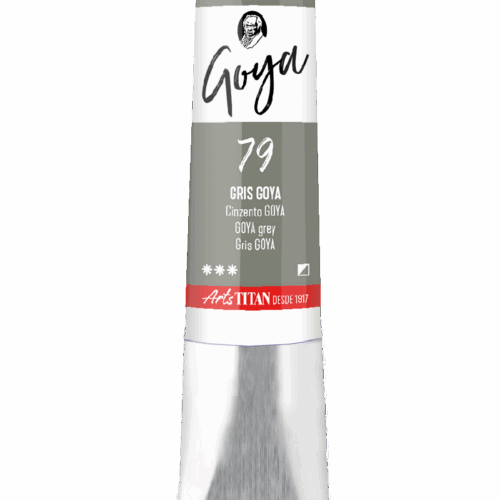 GOYA GRIS GOYA  Nº79   T.6