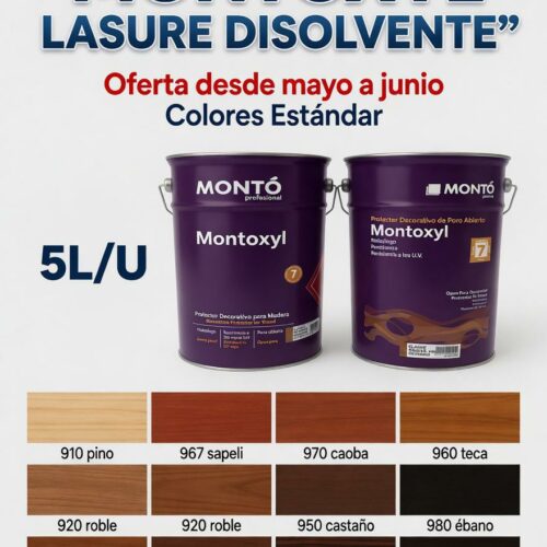 OFERTA MONTOXYL LASURE 5L